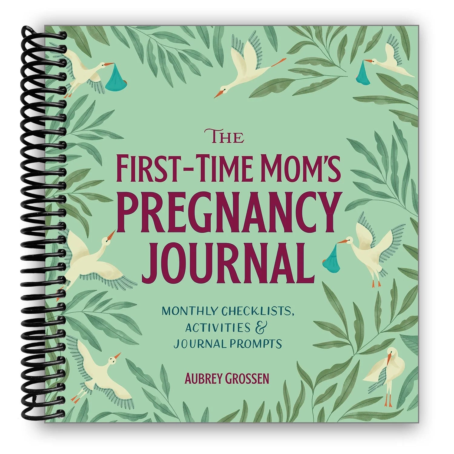 The First-Time Mom'S Pregnancy Journal : Monthly Checklists, Activities, & Journal Prompts (Paperback)